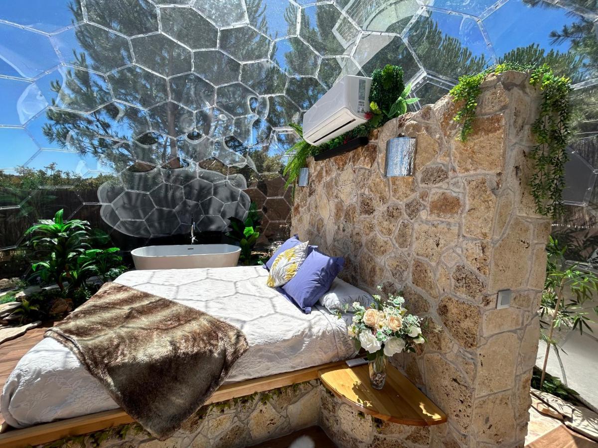 Skd Suite Garnacha Ávila Εξωτερικό φωτογραφία